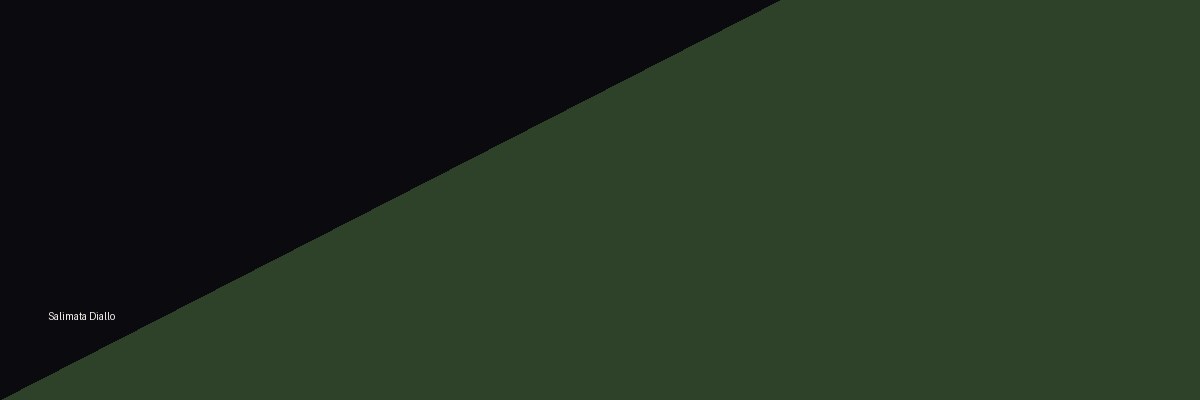 Couverture de Salimata Diallo